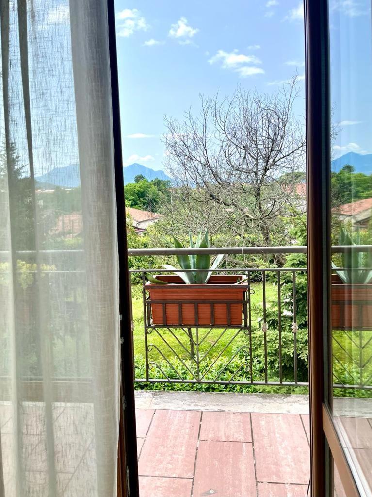 Villa Lulu 塞里诺 客房 照片